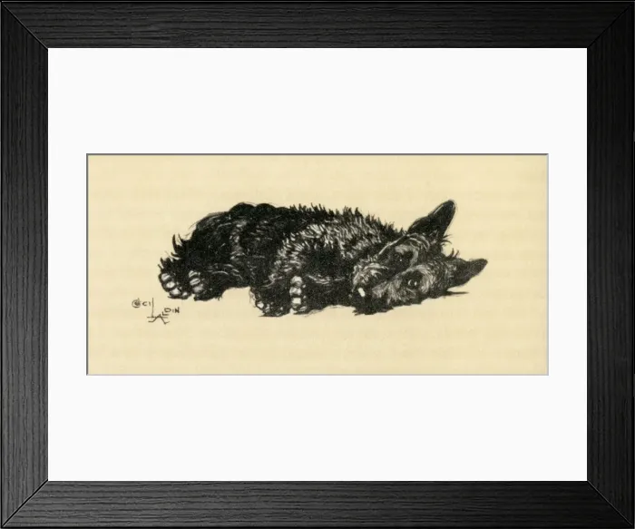 Framed Print : Illustration by Cecil Aldin, Scots terrier Framed Print : Illustration by Cecil Aldin, Scots terrier