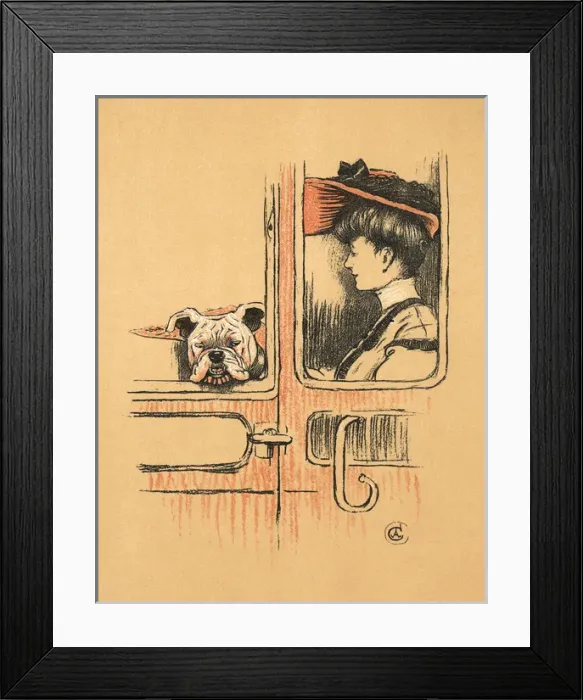 Framed Print : White bulldog puppy in first class railway carriage Framed Print : White bulldog puppy in first class railway carriage