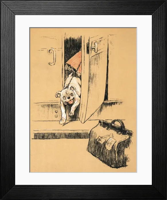 Framed Print : White bulldog puppy getting out of railway carriage Framed Print : White bulldog puppy getting out of railway carriage