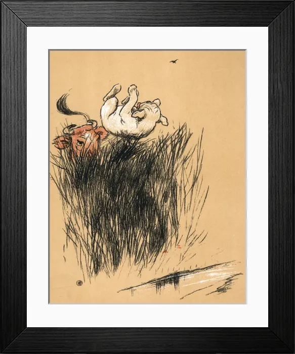 Framed Print : White bulldog thrown into the air by a bull in a field Framed Print : White bulldog thrown into the air by a bull in a field