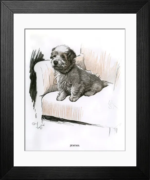 Framed Print : Sealyham terrier sitting in an armchair Framed Print : Sealyham terrier sitting in an armchair