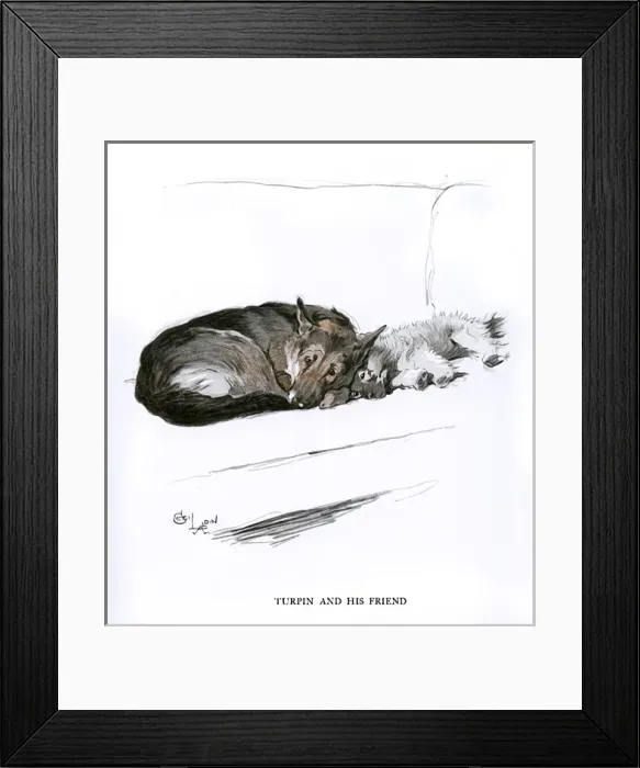 Framed Print : Alsatian and Sealyham terrier on a sofa Framed Print : Alsatian and Sealyham terrier on a sofa