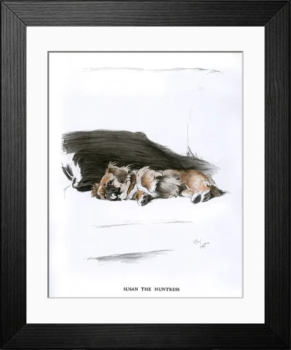 Framed Print : Pekingese dog lying on a sofa Framed Print : Pekingese dog lying on a sofa