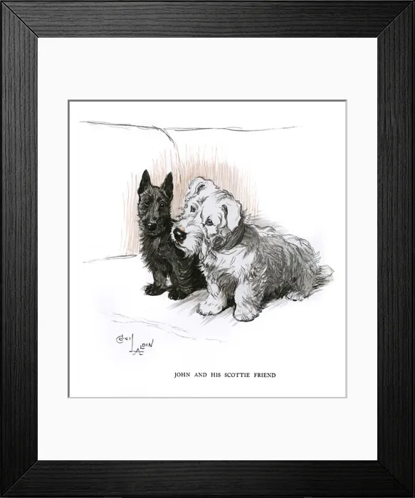 Framed Print : Aberdeen terrier and Sealyham terrier sitting on a sofa Framed Print : Aberdeen terrier and Sealyham terrier sitting on a sofa