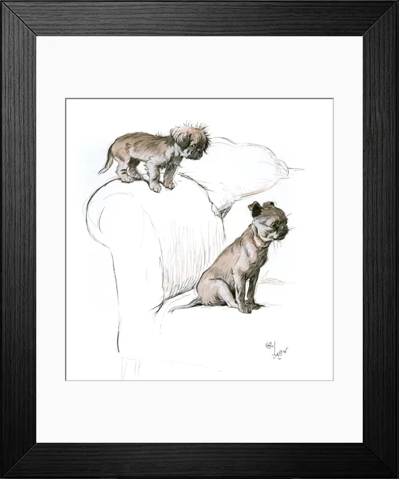 Framed Print : Two small dogs on a sofa Framed Print : Two small dogs on a sofa