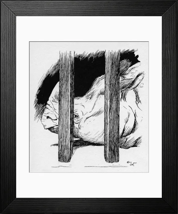 Framed Print : Illustration by Cecil Aldin, The Rhinoceros Framed Print : Illustration by Cecil Aldin, The Rhinoceros