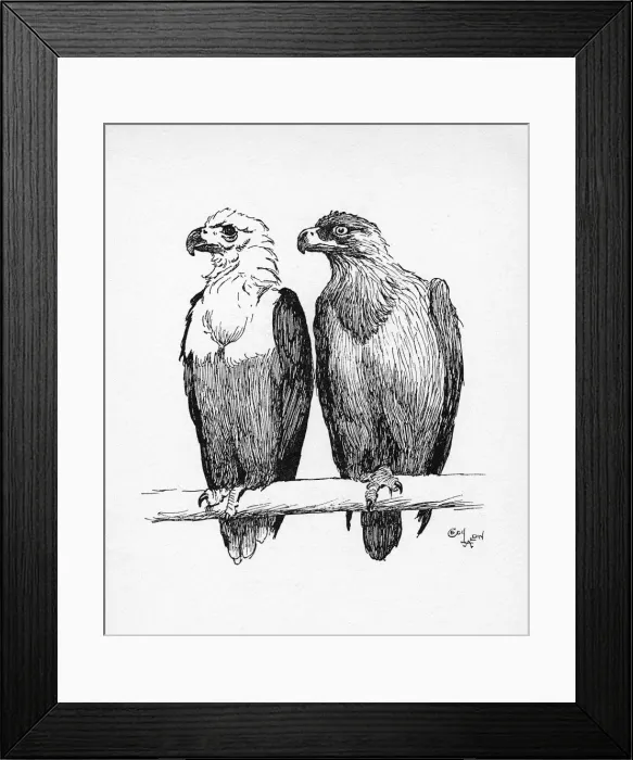 Framed Print : Illustration by Cecil Aldin, Two Eagles Framed Print : Illustration by Cecil Aldin, Two Eagles