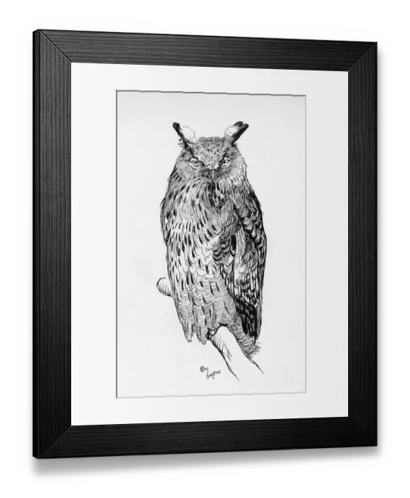 Framed Print : Illustration by Cecil Aldin, The Great Eagle Owl Framed Print : Illustration by Cecil Aldin, The Great Eagle Owl