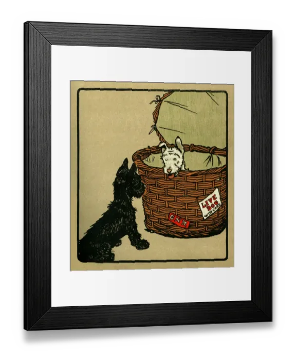 Framed Print : Illustration by Cecil Aldin, Rough and Tumble Framed Print : Illustration by Cecil Aldin, Rough and Tumble