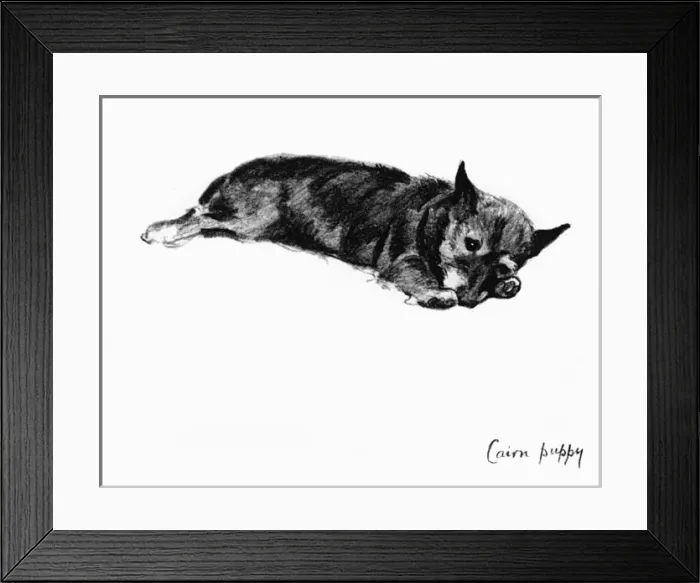 Framed Print : Illustration of a Cairn terrier puppy by Cecil Aldin Framed Print : Illustration of a Cairn terrier puppy by Cecil Aldin