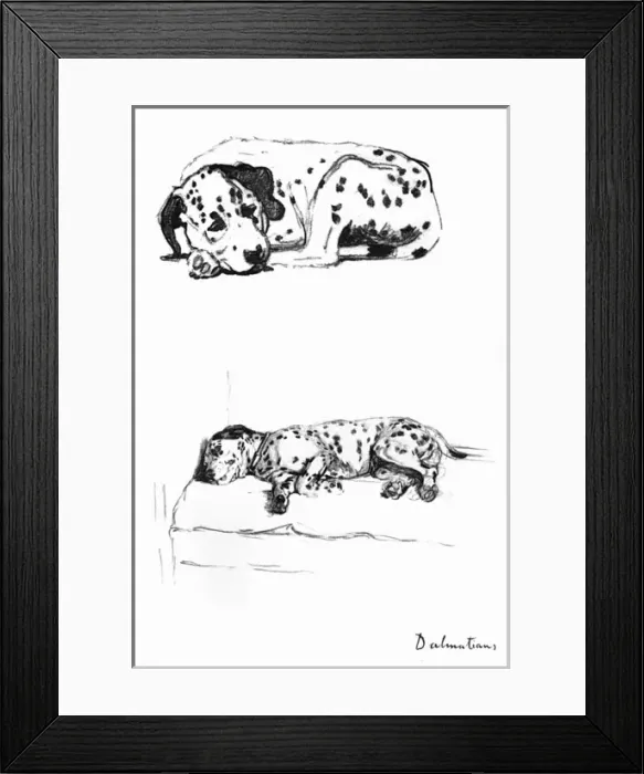 Framed Print : Sketches of a Dalmatian puppy by Cecil Aldin Framed Print : Sketches of a Dalmatian puppy by Cecil Aldin
