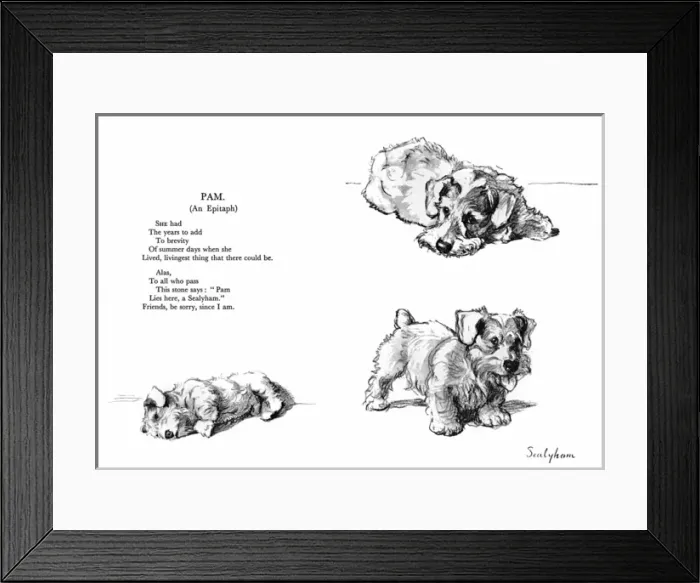 Framed Print : Illustrations of a Sealyham terrier by Cecil Aldin Framed Print : Illustrations of a Sealyham terrier by Cecil Aldin