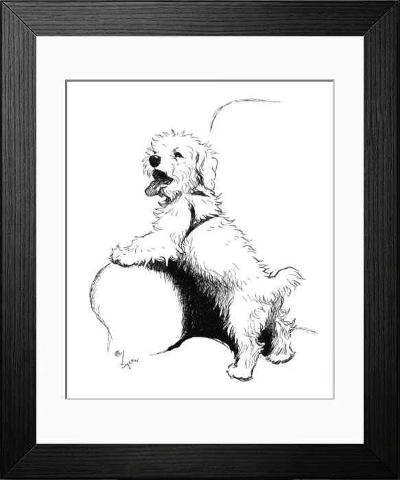 Framed Print : Illustration of a Sealyham terrier by Cecil Aldin Framed Print : Illustration of a Sealyham terrier by Cecil Aldin
