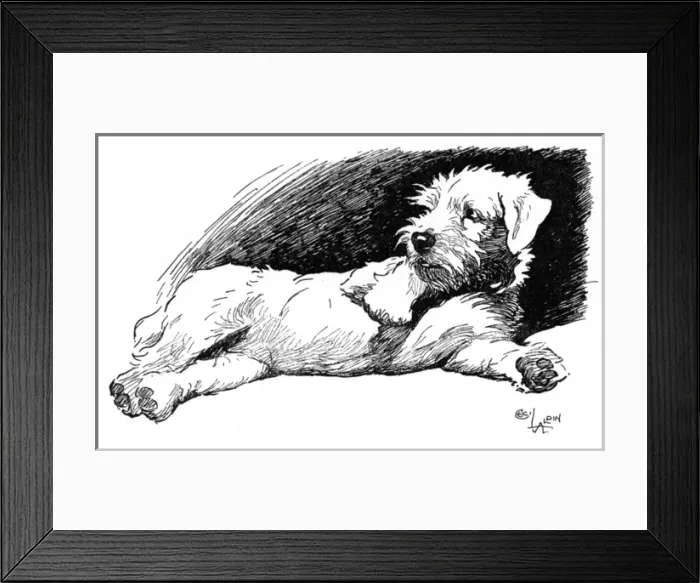 Framed Print : Illustration of a Sealyham terrier by Cecil Aldin Framed Print : Illustration of a Sealyham terrier by Cecil Aldin