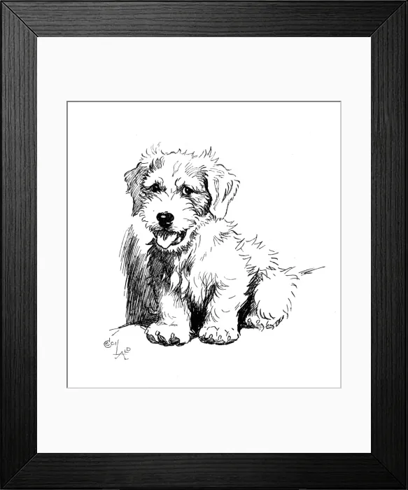 Framed Print : Illustration of a Sealyham terrier by Cecil Aldin Framed Print : Illustration of a Sealyham terrier by Cecil Aldin