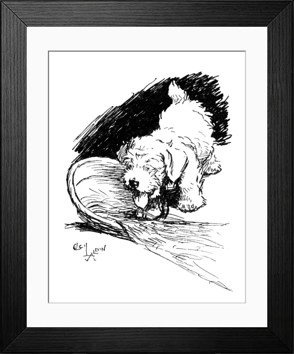 Framed Print : Illustration of a Sealyham terrier puppy by Cecil Aldin Framed Print : Illustration of a Sealyham terrier puppy by Cecil Aldin
