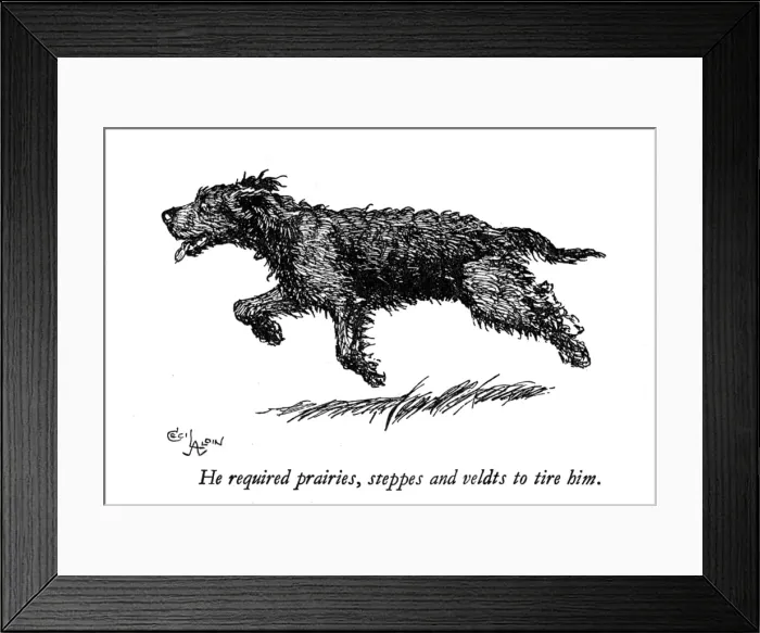 Framed Print : Illustration of a black dog by Cecil Aldin Framed Print : Illustration of a black dog by Cecil Aldin