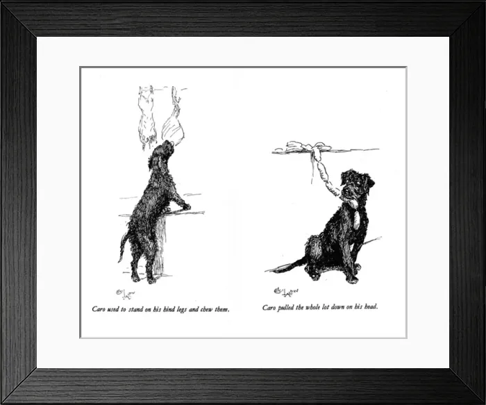 Framed Print : Illustrations of a black dog by Cecil Aldin Framed Print : Illustrations of a black dog by Cecil Aldin