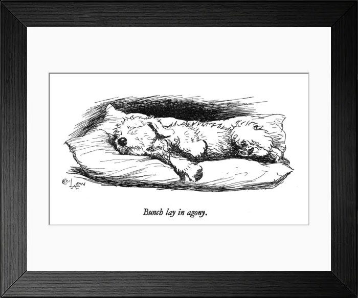 Framed Print : Illustration of a Sealyham terrier by Cecil Aldin Framed Print : Illustration of a Sealyham terrier by Cecil Aldin