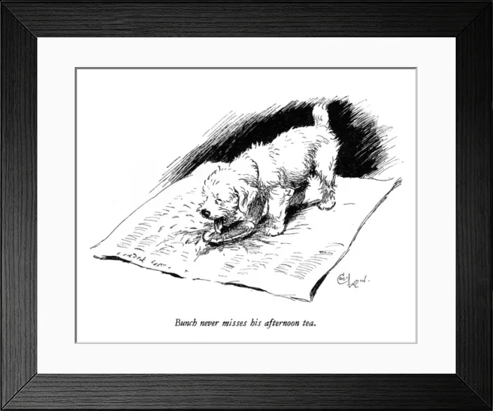 Framed Print : Illustration of a Sealyham terrier by Cecil Aldin Framed Print : Illustration of a Sealyham terrier by Cecil Aldin