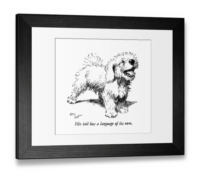 Framed Print : Illustration of a Sealyham terrier by Cecil Aldin Framed Print : Illustration of a Sealyham terrier by Cecil Aldin