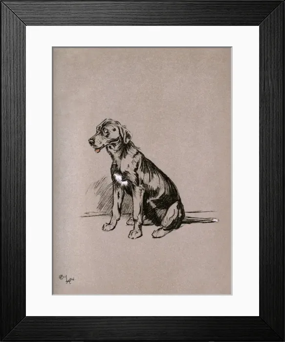 Framed Print : Illustration by Cecil Aldin, The Snob Framed Print : Illustration by Cecil Aldin, The Snob