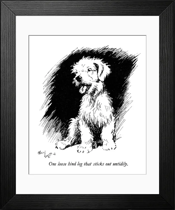 Framed Print : Illustration of a Sealyham terrier by Cecil Aldin Framed Print : Illustration of a Sealyham terrier by Cecil Aldin