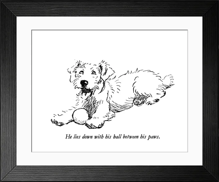 Framed Print : Illustration of a Sealyham terrier by Cecil Aldin Framed Print : Illustration of a Sealyham terrier by Cecil Aldin