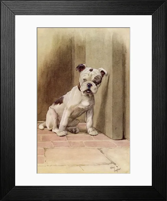 Framed Print : Illustration by Cecil Aldin, My Dog