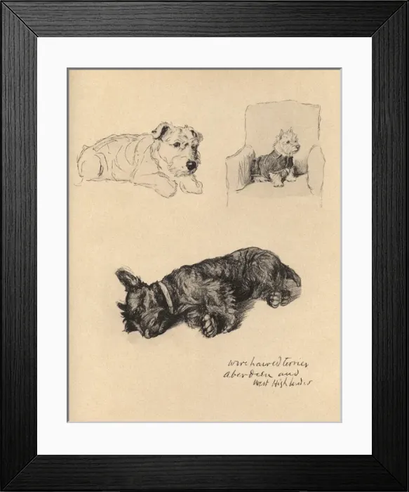 Framed Print : Sketches by Cecil Aldin, Just Among Friends Framed Print : Sketches by Cecil Aldin, Just Among Friends