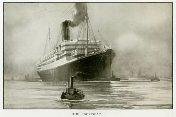 The Cunard Liner RMS Scythia