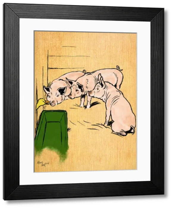 Framed Print : Illustration by Cecil Aldin, Farm Babies Framed Print : Illustration by Cecil Aldin, Farm Babies