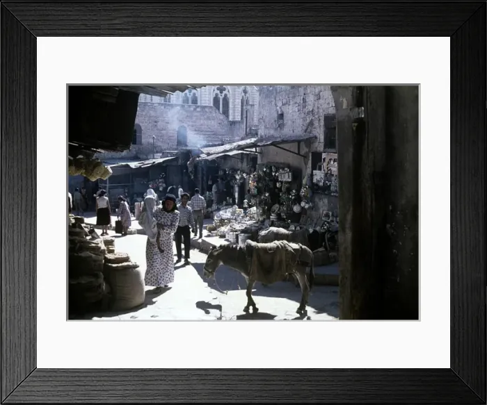 Framed Print : Red Sea Egypt Framed Print : Red Sea Egypt