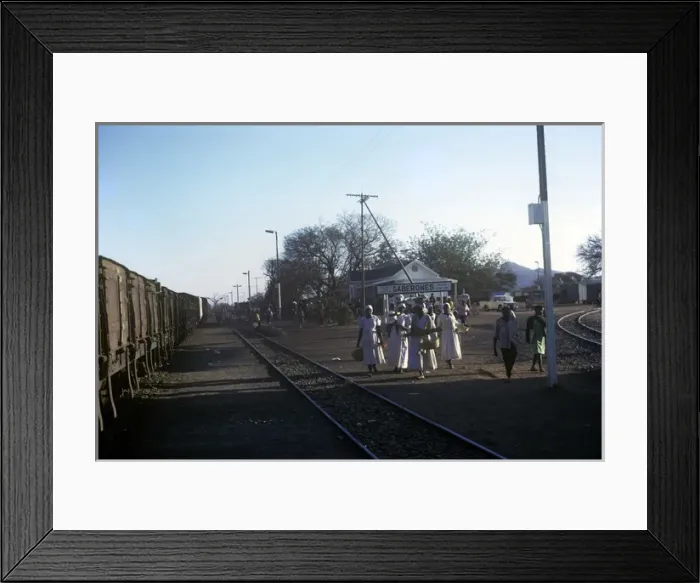 Framed Print : Gerberones Botswana Southern Africa