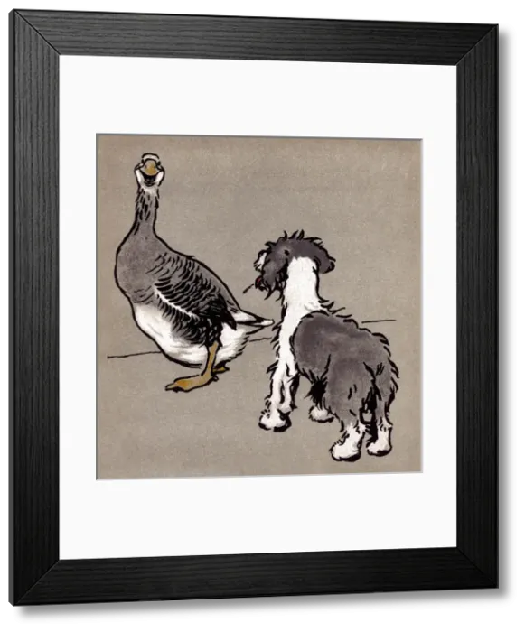 Framed Print : Illustration by Cecil Aldin, The Bobtail Puppy Book Framed Print : Illustration by Cecil Aldin, The Bobtail Puppy Book