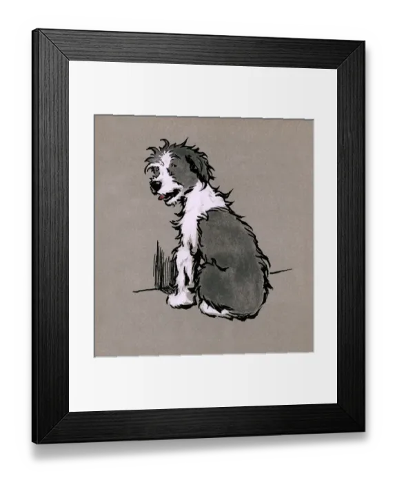 Framed Print : Illustration by Cecil Aldin, The Bobtail Puppy Book Framed Print : Illustration by Cecil Aldin, The Bobtail Puppy Book