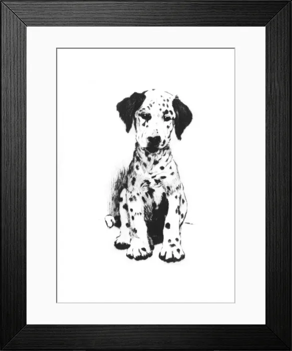 Framed Print : Illustration by Cecil Aldin, The White Kitten Book Framed Print : Illustration by Cecil Aldin, The White Kitten Book