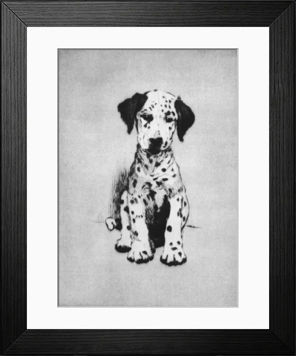 Framed Print : Illustration by Cecil Aldin, Dogs of Every Day Framed Print : Illustration by Cecil Aldin, Dogs of Every Day