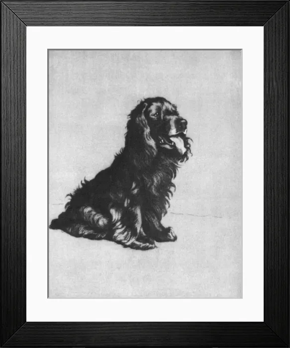 Framed Print : Illustration by Cecil Aldin, Dogs of Every Day Framed Print : Illustration by Cecil Aldin, Dogs of Every Day