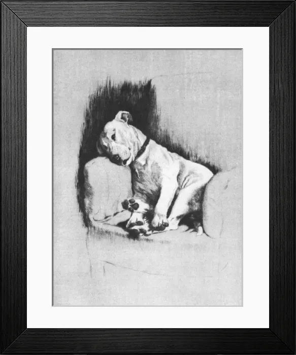 Framed Print : Illustration by Cecil Aldin, Dogs of Every Day Framed Print : Illustration by Cecil Aldin, Dogs of Every Day