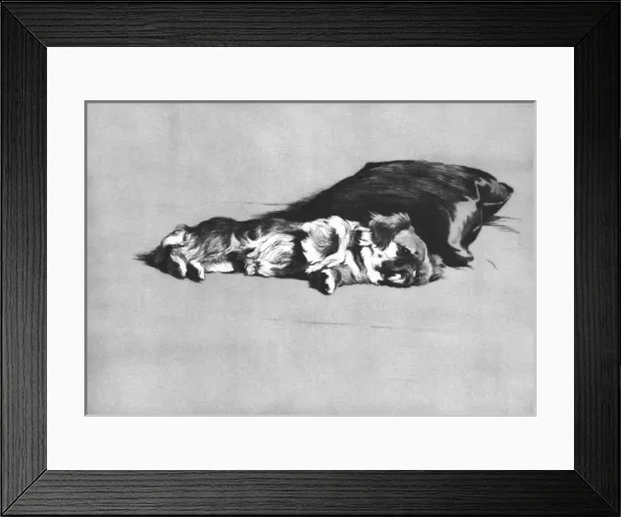Framed Print : Illustration by Cecil Aldin, Dogs of Every Day Framed Print : Illustration by Cecil Aldin, Dogs of Every Day
