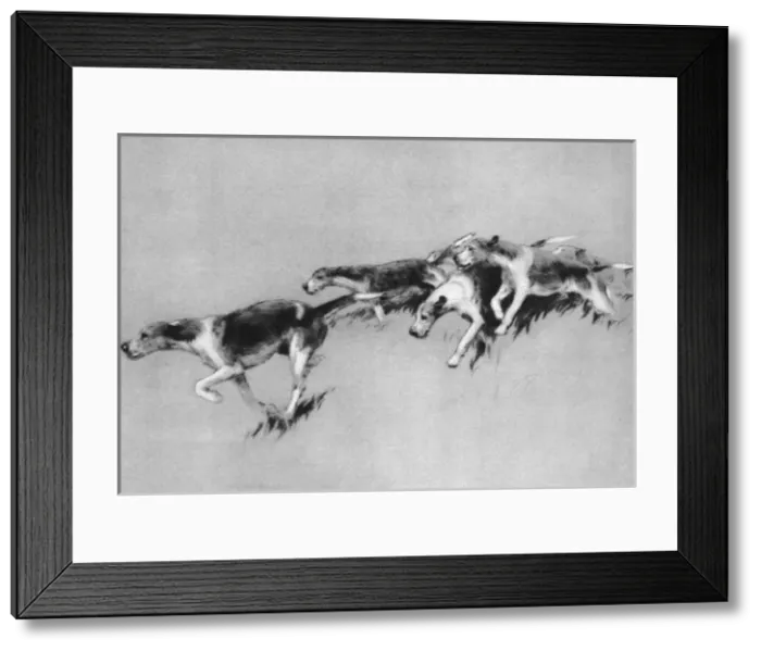 Framed Print : Illustration by Cecil Aldin, Dogs of Every Day Framed Print : Illustration by Cecil Aldin, Dogs of Every Day