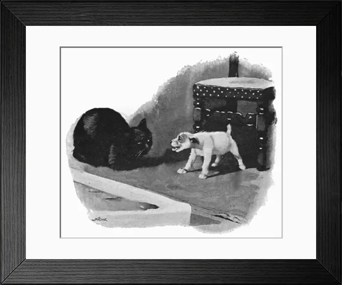Framed Print : Illustration by Cecil Aldin, Spot meets a cat Framed Print : Illustration by Cecil Aldin, Spot meets a cat
