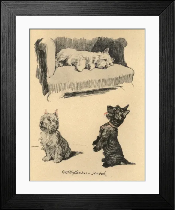 Framed Print : Sketches by Cecil Aldin, Just Among Friends Framed Print : Sketches by Cecil Aldin, Just Among Friends