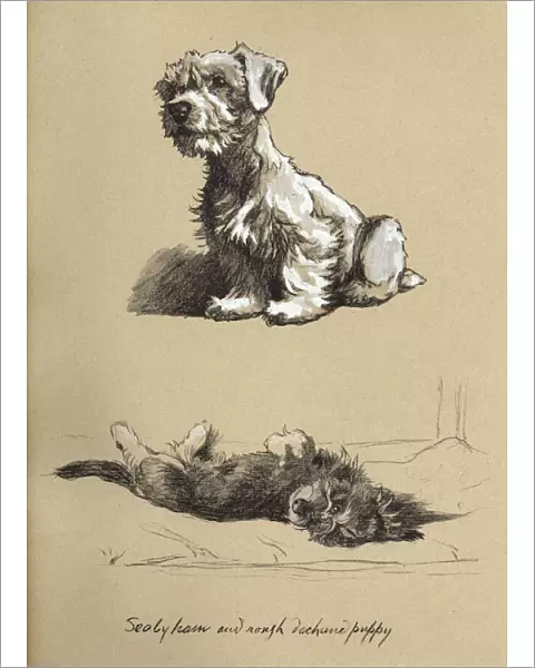 Sketches by Cecil Aldin, Just Among Friends
