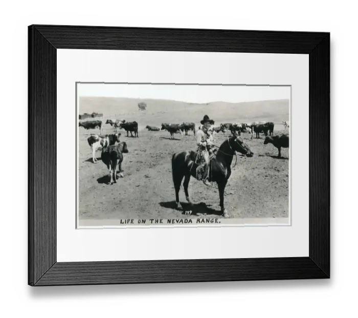 Framed Print : Cowboy on the Nevada Range, Nevada, USA Framed Print : Cowboy on the Nevada Range, Nevada, USA
