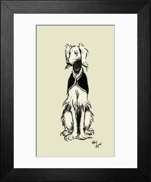 Framed Print : Frontispiece illustration by Cecil Aldin, an Afghan Hound Framed Print : Frontispiece illustration by Cecil Aldin, an Afghan Hound