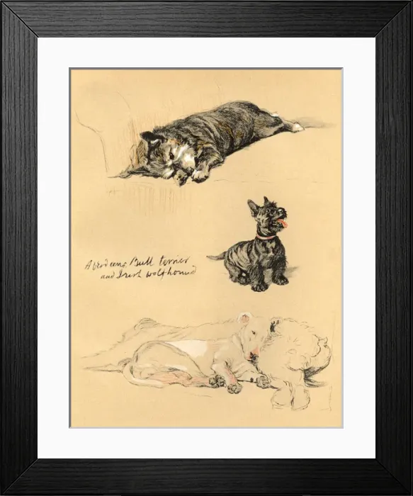 Framed Print : Sketches by Cecil Aldin, Just Among Friends Framed Print : Sketches by Cecil Aldin, Just Among Friends