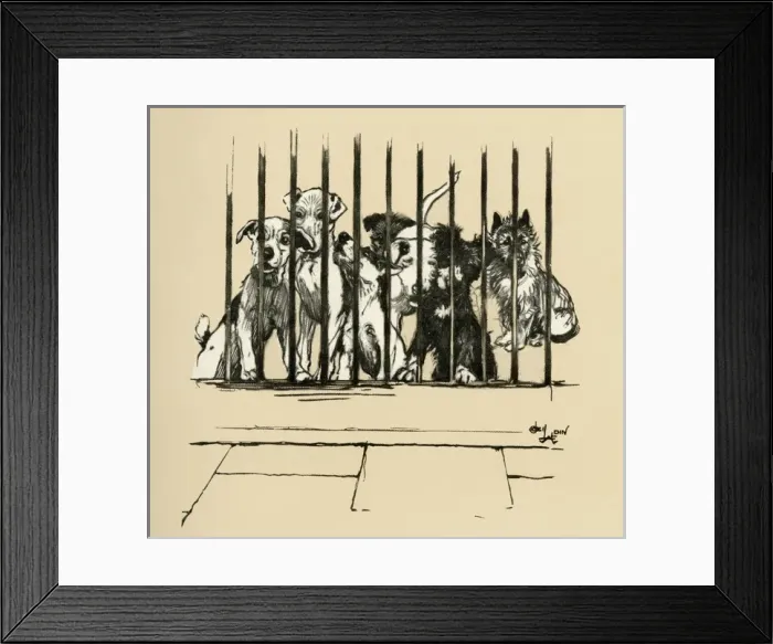 Framed Print : Illustration by Cecil Aldin, Battersea Dogs Home Framed Print : Illustration by Cecil Aldin, Battersea Dogs Home
