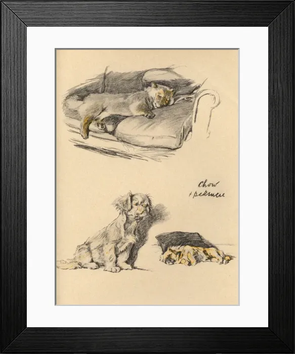 Framed Print : Sketches by Cecil Aldin, Just Among Friends Framed Print : Sketches by Cecil Aldin, Just Among Friends